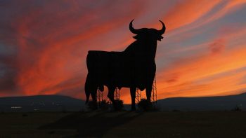 toro de osborne